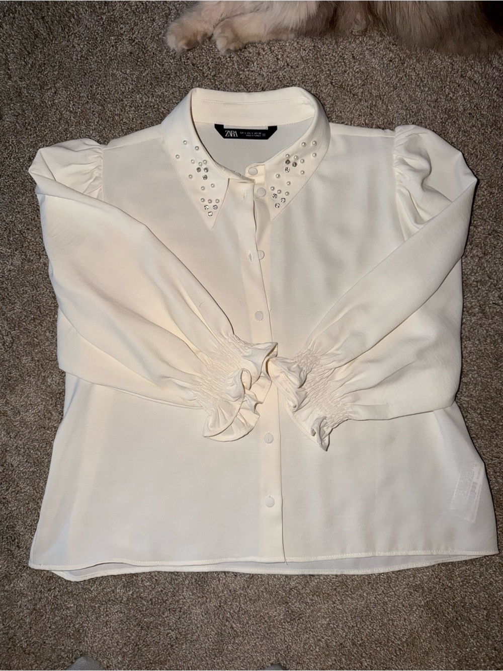 Zara Cream Button-Down Blouse with Pearl-Trim Collar